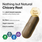 BIO KRAUTER Chicory Root Prebiotic for Digestive Support - 100 Capsules - image 4