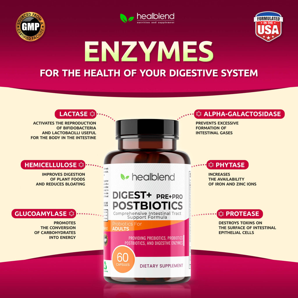 Healblend Digest + Postbiotics Multi-Enzyme Supplement - 60 Vegetarian Capsules - image 5