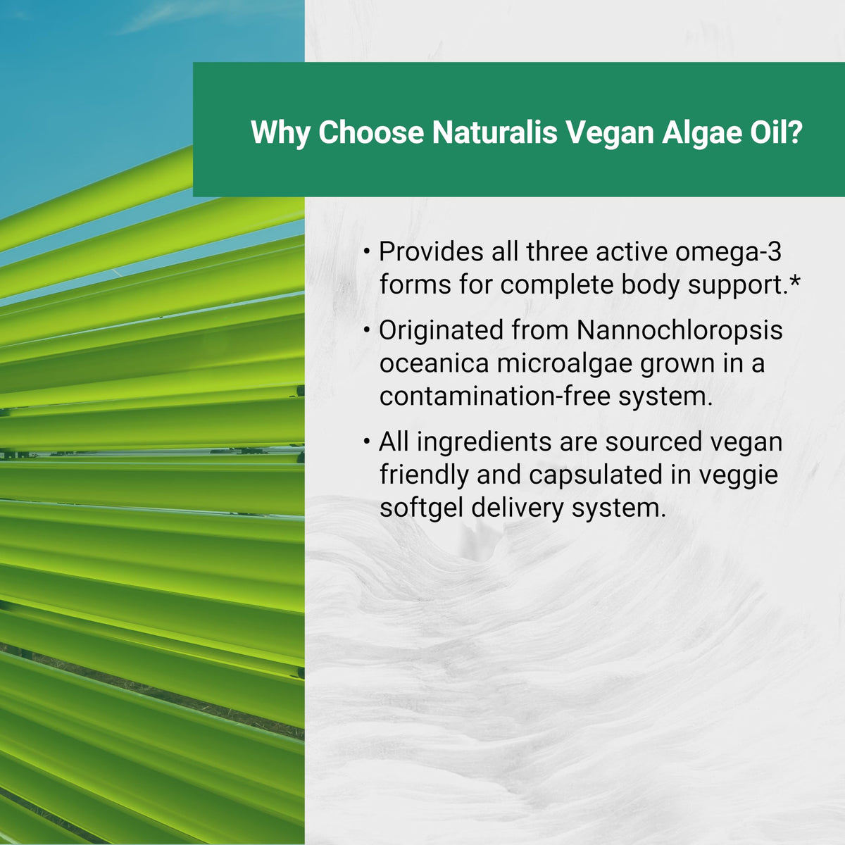 Naturalis Vegan Omega 3 Full Spectrum DHA, EPA & DPA from Algae Oil