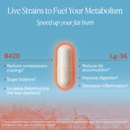 Life-Space Shape B420 Probiotics for Shape Better