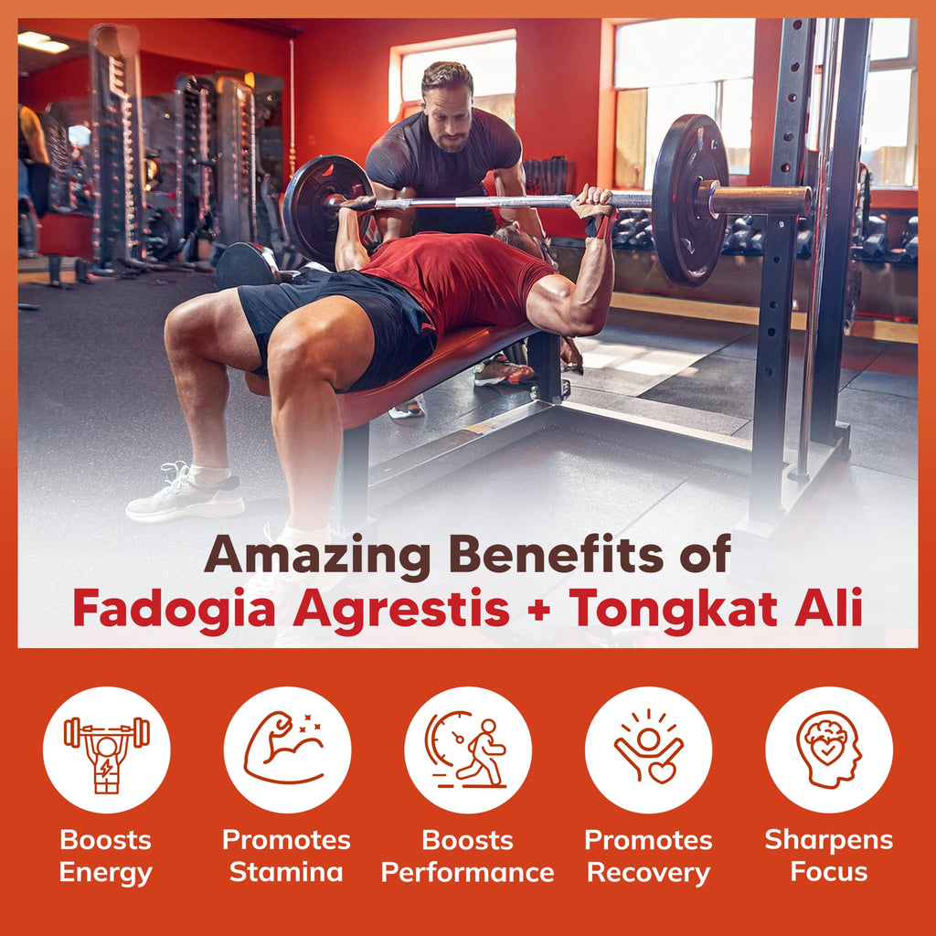 aSquared Nutrition Fadogia Agrestis with Tongkat Ali - 120 Capsules - image 4
