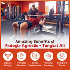 aSquared Nutrition Fadogia Agrestis with Tongkat Ali - 120 Capsules - image 4