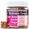 SHIZAM 17 Mushroom Complex Gummies for Adults - 60 Count