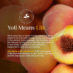 Yoli Passion Energy Drink Powder Mix - Natural Energy Drink Mix - image 9