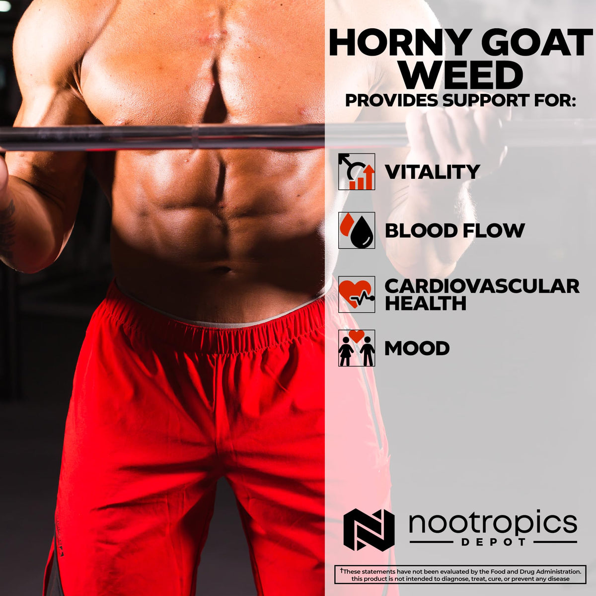 Nootropics Depot Horny Goat Weed Capsules