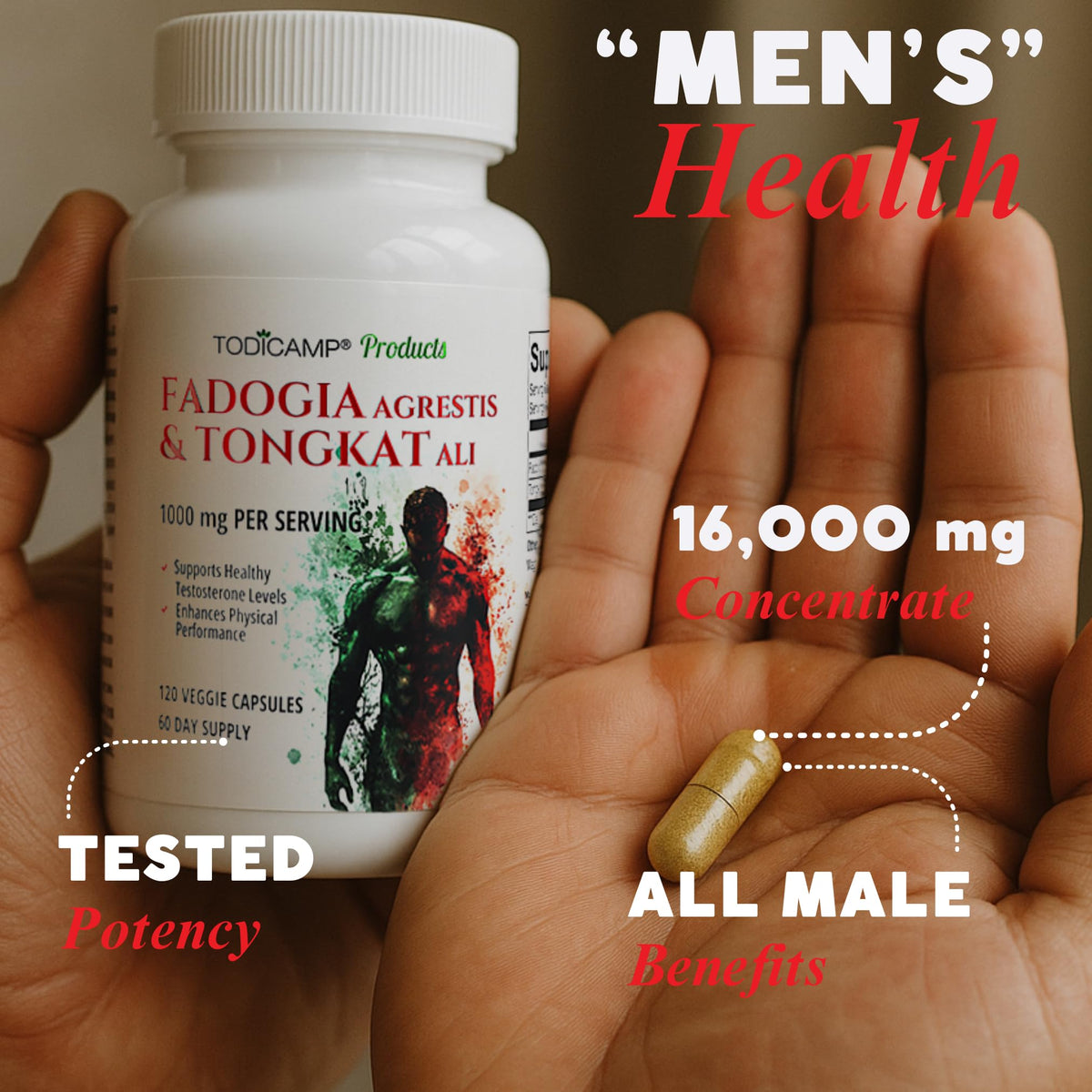 TODICAMP Fadogia Agrestis & Tongkat Ali 1000mg Complex - 120 Capsules - image 3