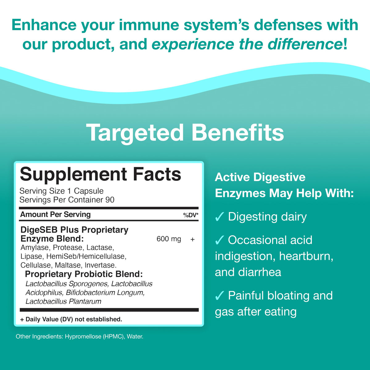 GHT Global Health Trax Active Digestive Enzymes - 90 Capsules - image 2