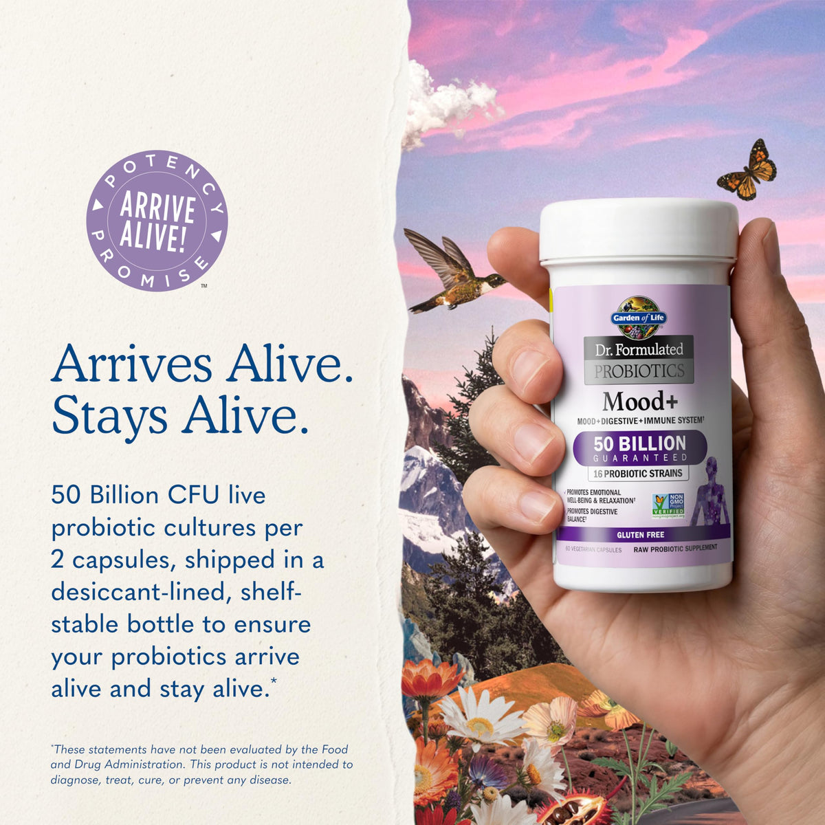 Garden of Life Dr. Formulated Mood+ Probiotics