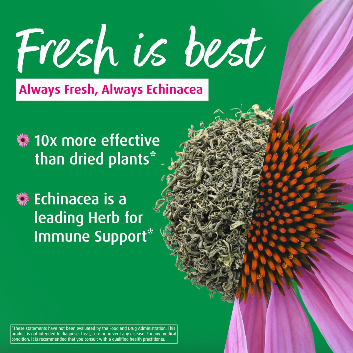A.Vogel A. Vogel Echinaforce Organic Echinacea Tablets, Immune Support