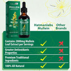MXCZBSM Mullein Leaf Extract Drops for Lungs - 2 Pack - image 4