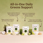 Organic Traditions Super Greens Turmeric Powder Blend - 7 oz - image 3
