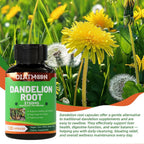 DIATMOON Dandelion Root 10:1 Extract