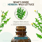 HerbEra Wild Lettuce USDA Organic Tincture
