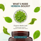 HerbEra Boldo USDA Organic Capsules