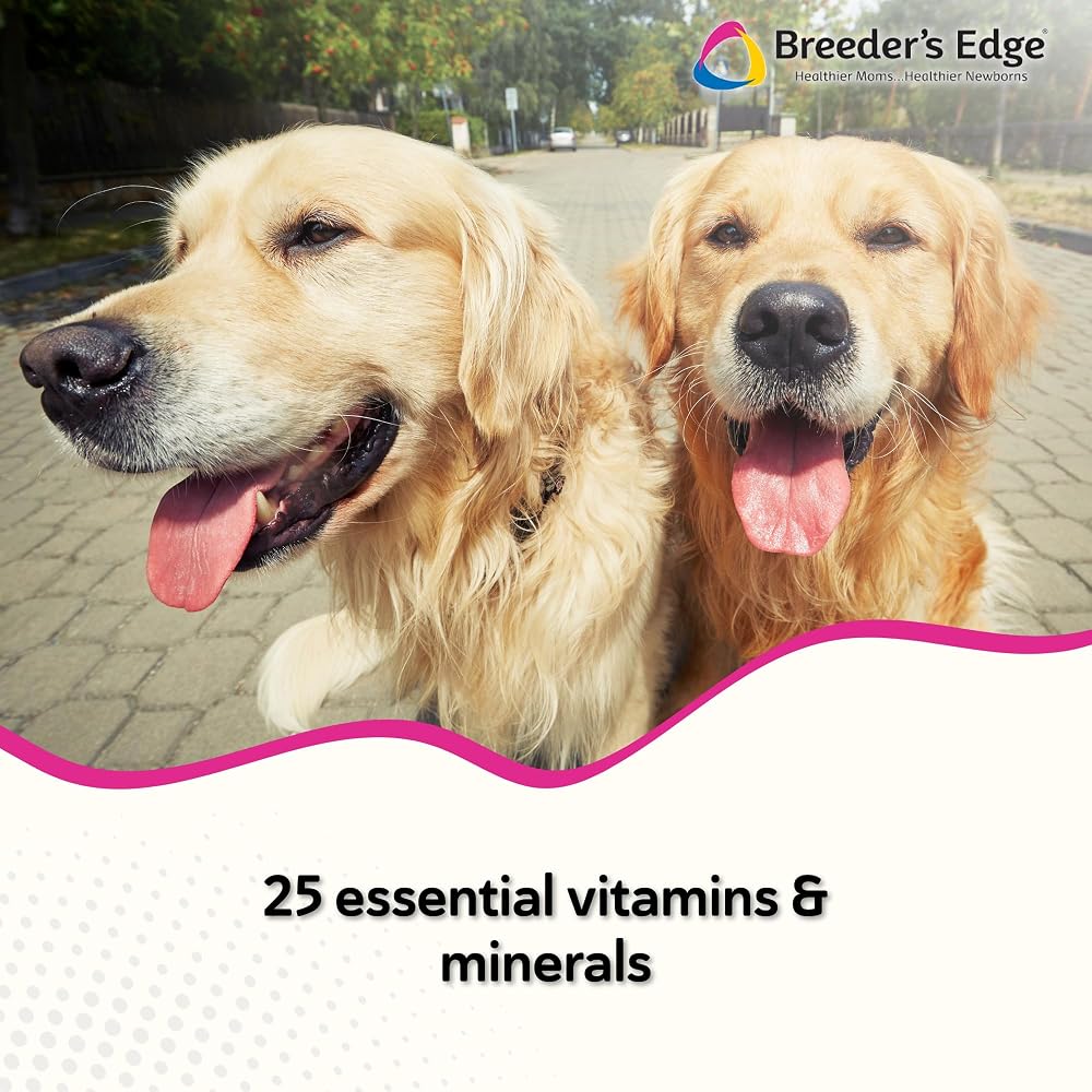 Breeder's Edge Breed to Wean Prenatal Soft Chews for Dogs & Cats - 100ct - image 2