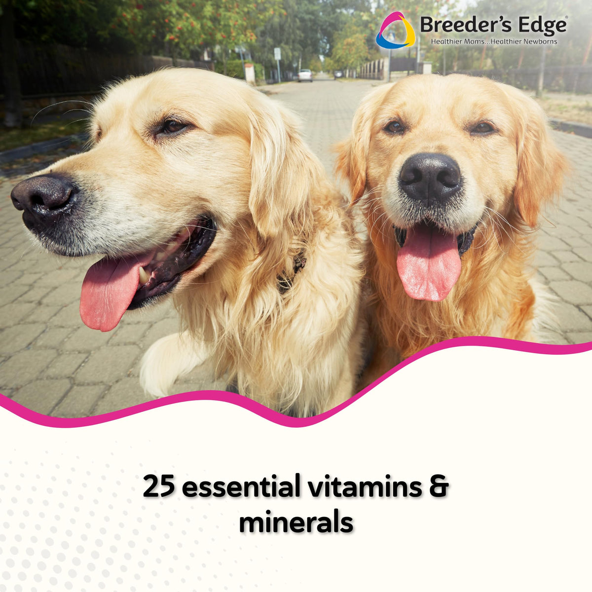 Breeder's Edge Breed to Wean Prenatal Soft Chews for Dogs & Cats - 100ct - image 2