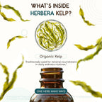 HerbEra Kelp USDA Organic Tincture