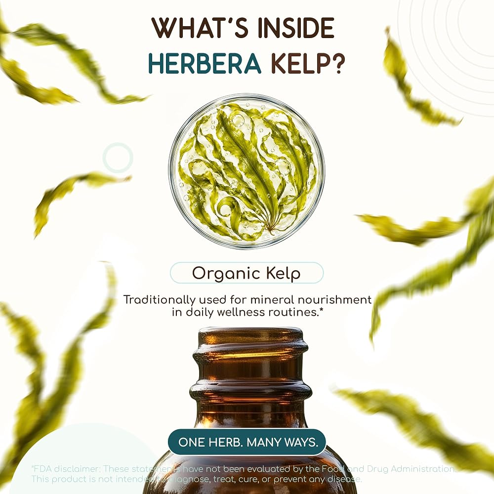 HerbEra Kelp USDA Organic Tincture