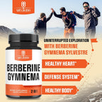 WELBUDA Berberine Supplement with Gymnema Sylvestre - 60 Capsules - image 3