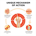 Collanol - Innovation in The Care of Healthy Joints