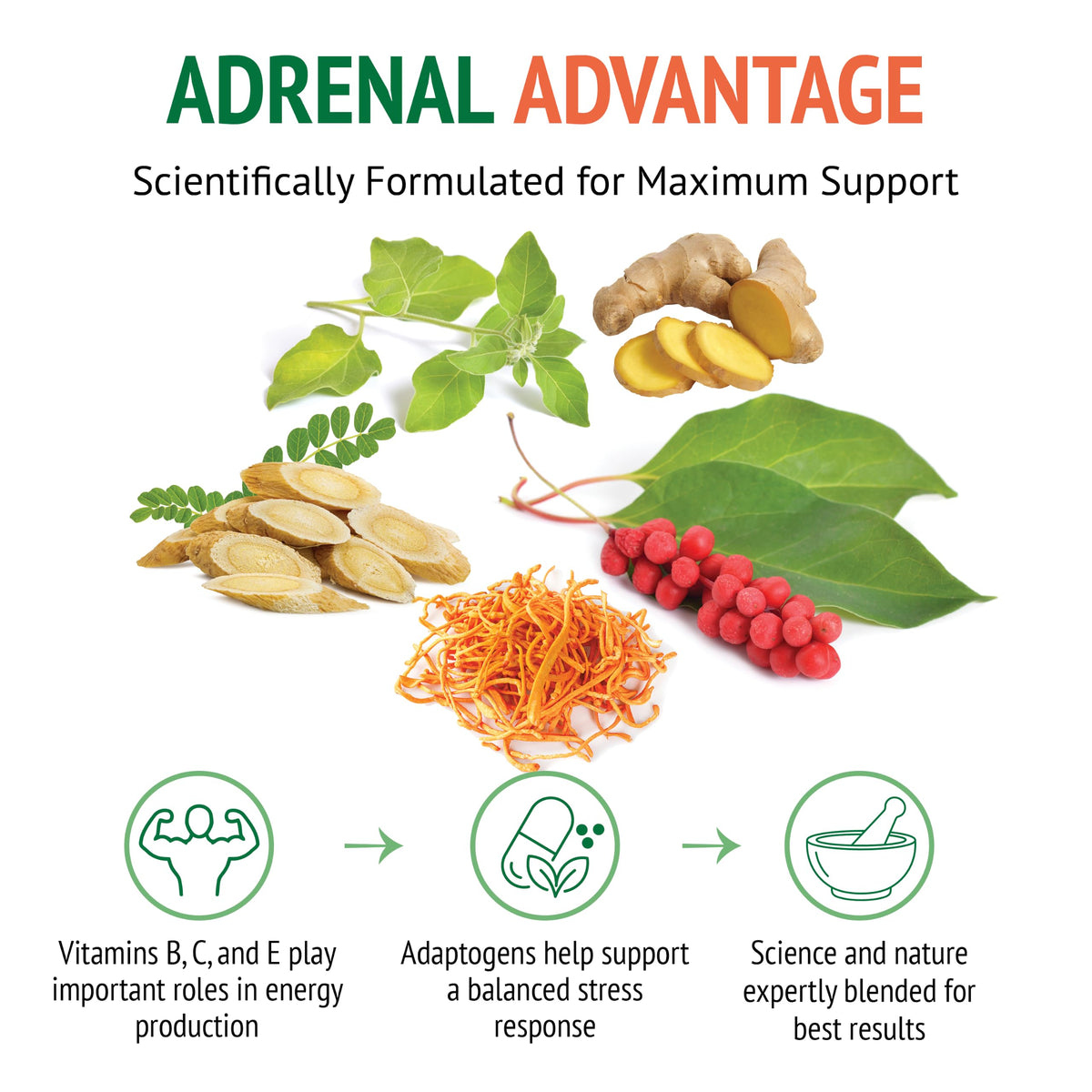 Botanic Choice Adrenal Advantage Stress Support - 30 Capsules - image 4
