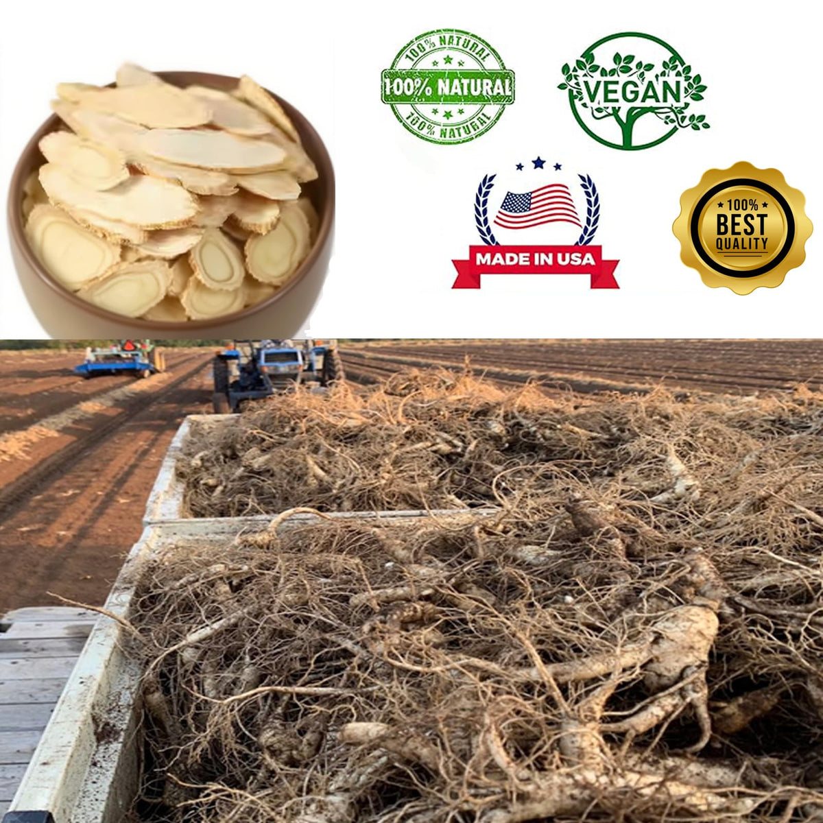 DABC OAK LAND American Ginseng Slices from Wisconsin