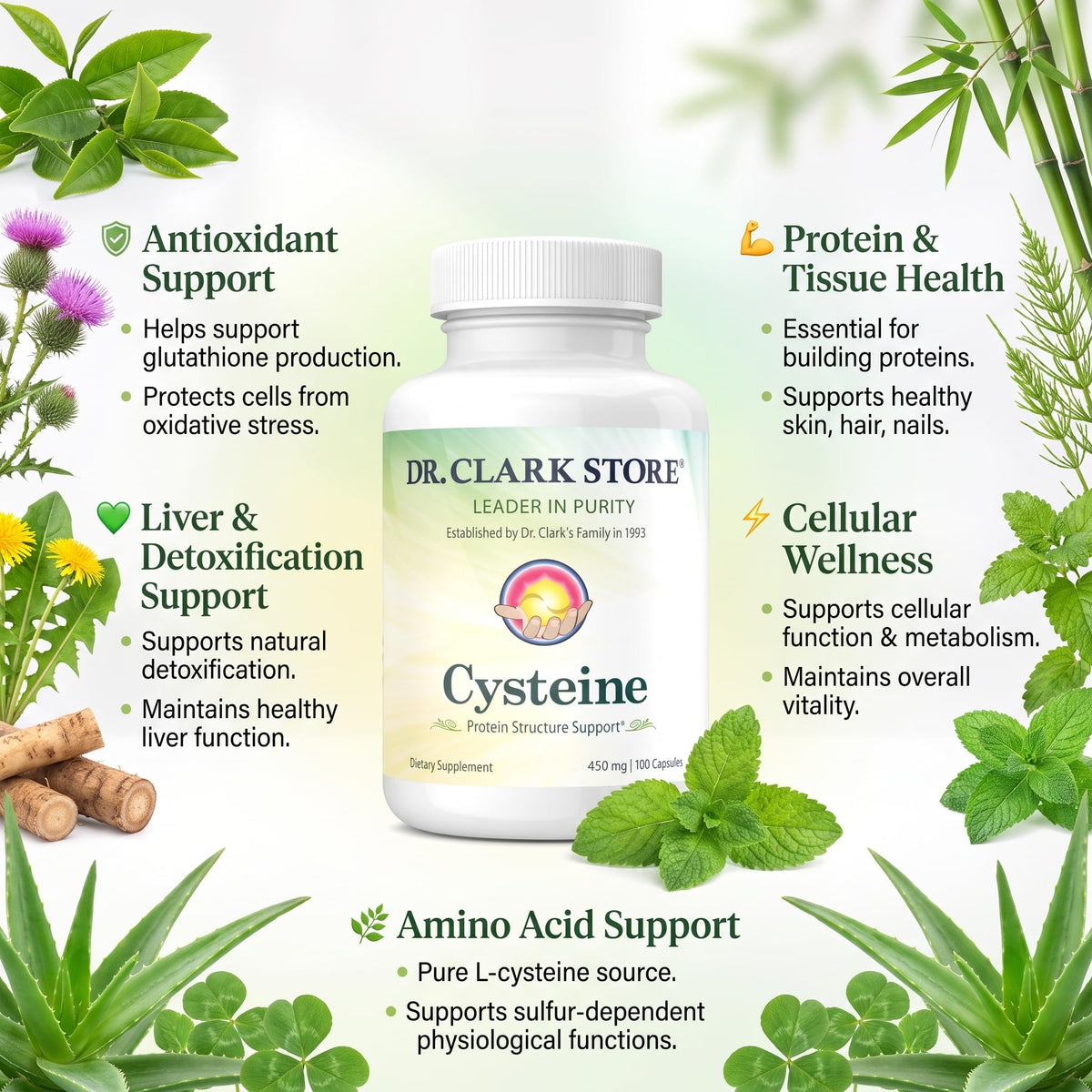 Dr Clark Cysteine Supplement 500mg - 100 Capsules - image 3