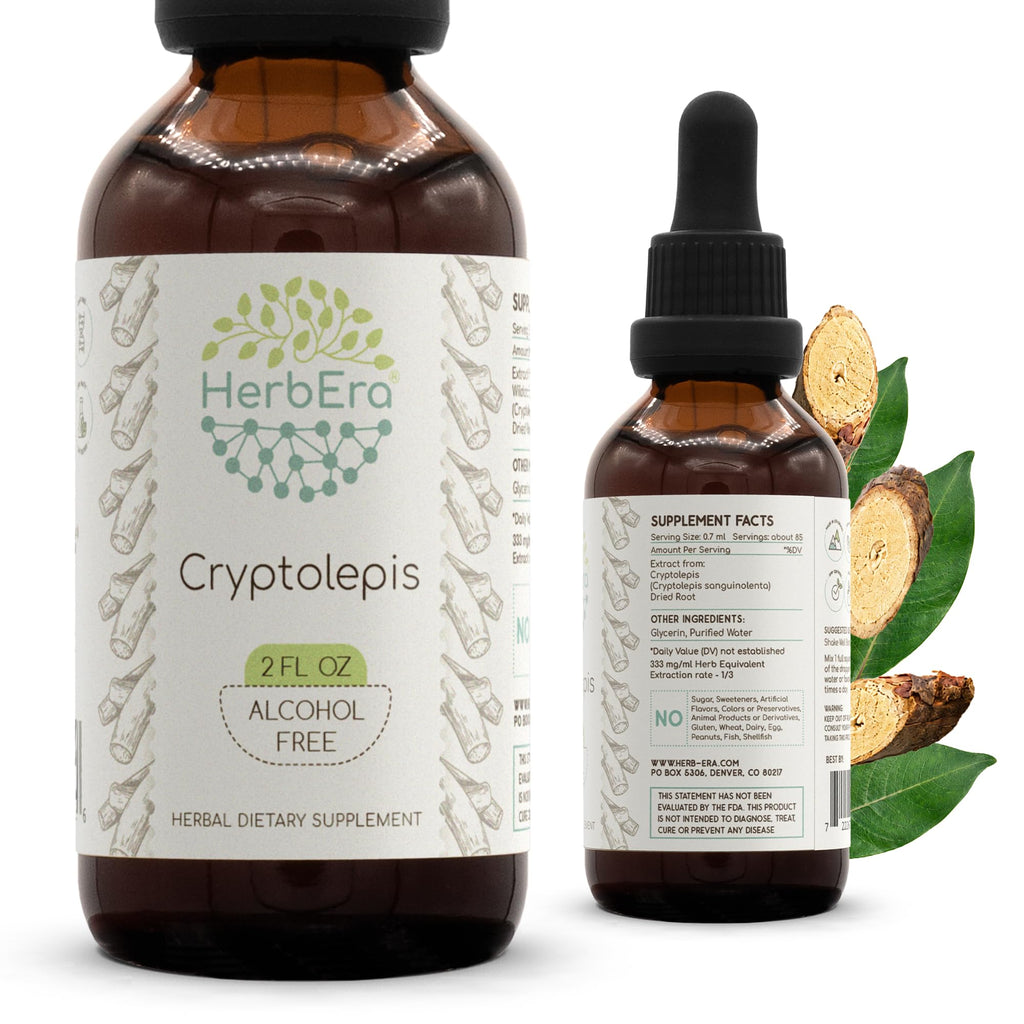 HerbEra Cryptolepis Alcohol-Free Liquid Extract Tincture - 2 fl oz