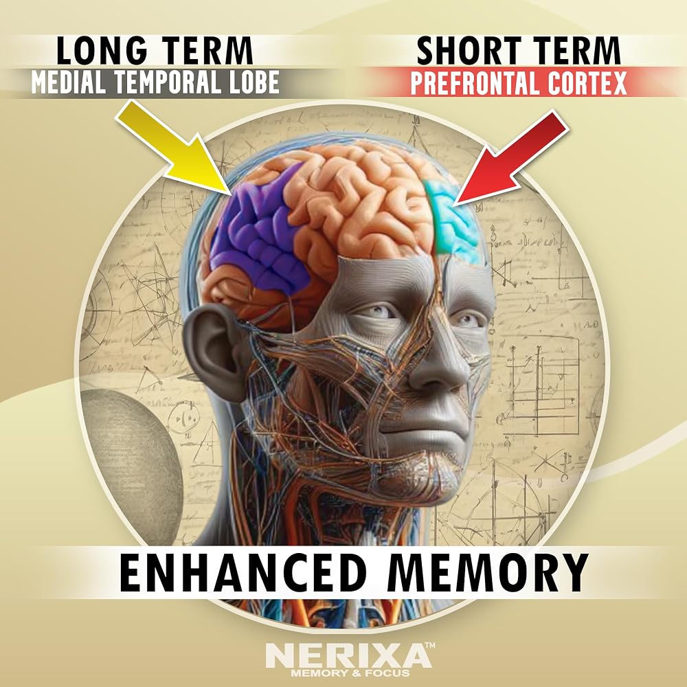 Vitamart NERIXA Memory Brain Support Supplement - 30 Capsules - image 4