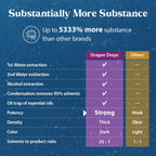 Dragon Herbs Ginseng Sublime Drops Energy & Focus - 2 fl. oz - image 5