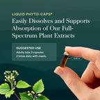 Gaia Herbs Turmeric Supreme Joint Health - Joint Support Supplement