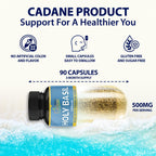 Organic Cadane Holy Basil Supplements with Turmeric & Ginger - 90 Capsules - image 2