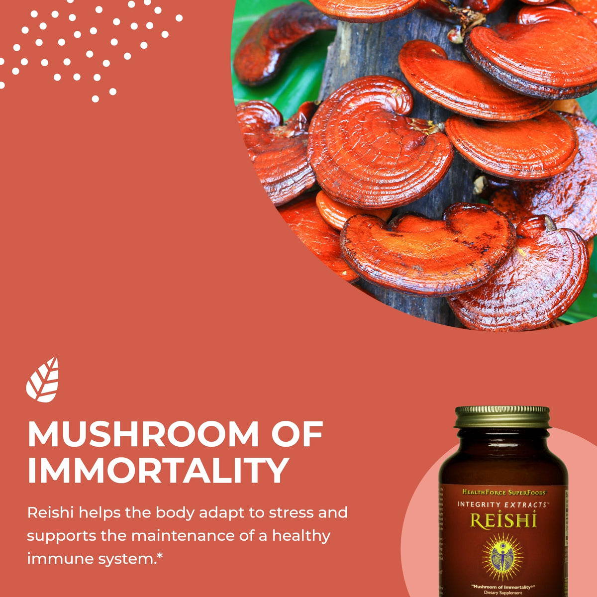 HEALTHFORCE SUPERFOODS Integrity Extracts Reishi Powder - 65g - image 4