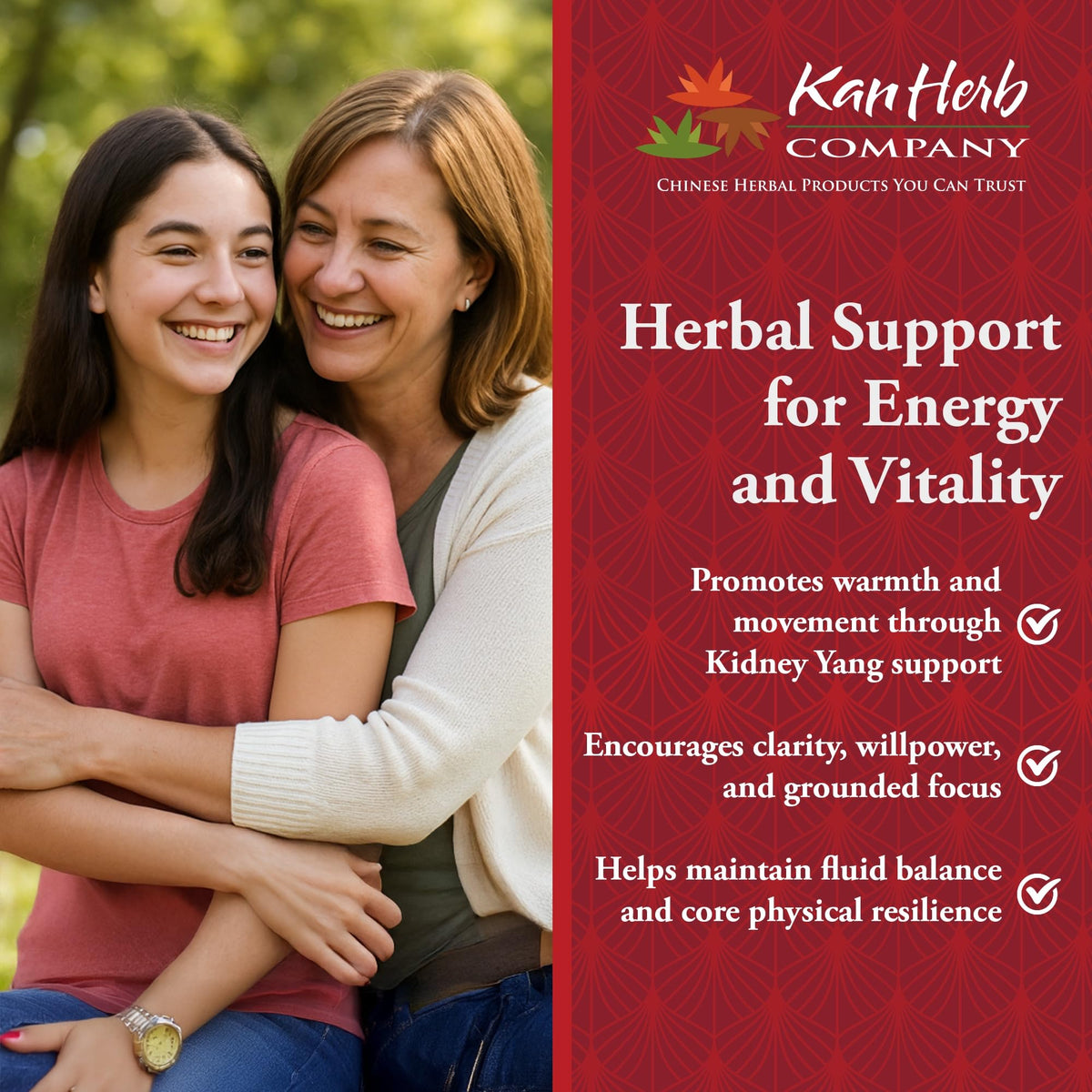Kan Herbs Dynamic Warrior Traditional Chinese Herbal Formula - 120 Tablets - image 5