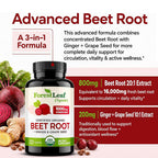 ForestLeaf USDA Organic Beet Root Capsules - Beetroot Supplement