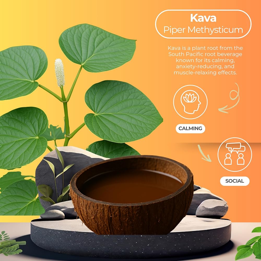 Botanical Brewing Orange Dream Kava Seltzer - 4 Pack - image 4