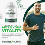 POWERED X PLANTS Pure Berberine Supplement - 1300mg Berberine