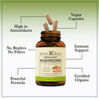 Herbal Roots Organic Mushroom Capsules Immune Support - 60 Vegan Capsules - image 5