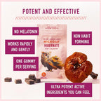 Microjoy Hibernate Mushroom Gummies Sleep Support - 30 Gummies - image 4