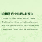 AYURVEDASHREE Punarnava Powder - 200g - image 6