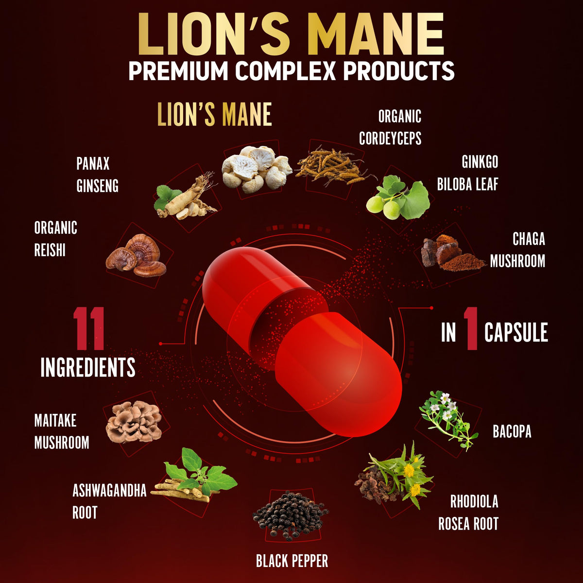 Zolotus Lions Mane Mushroom 11-in-1 Capsules - 90 Capsules - image 3