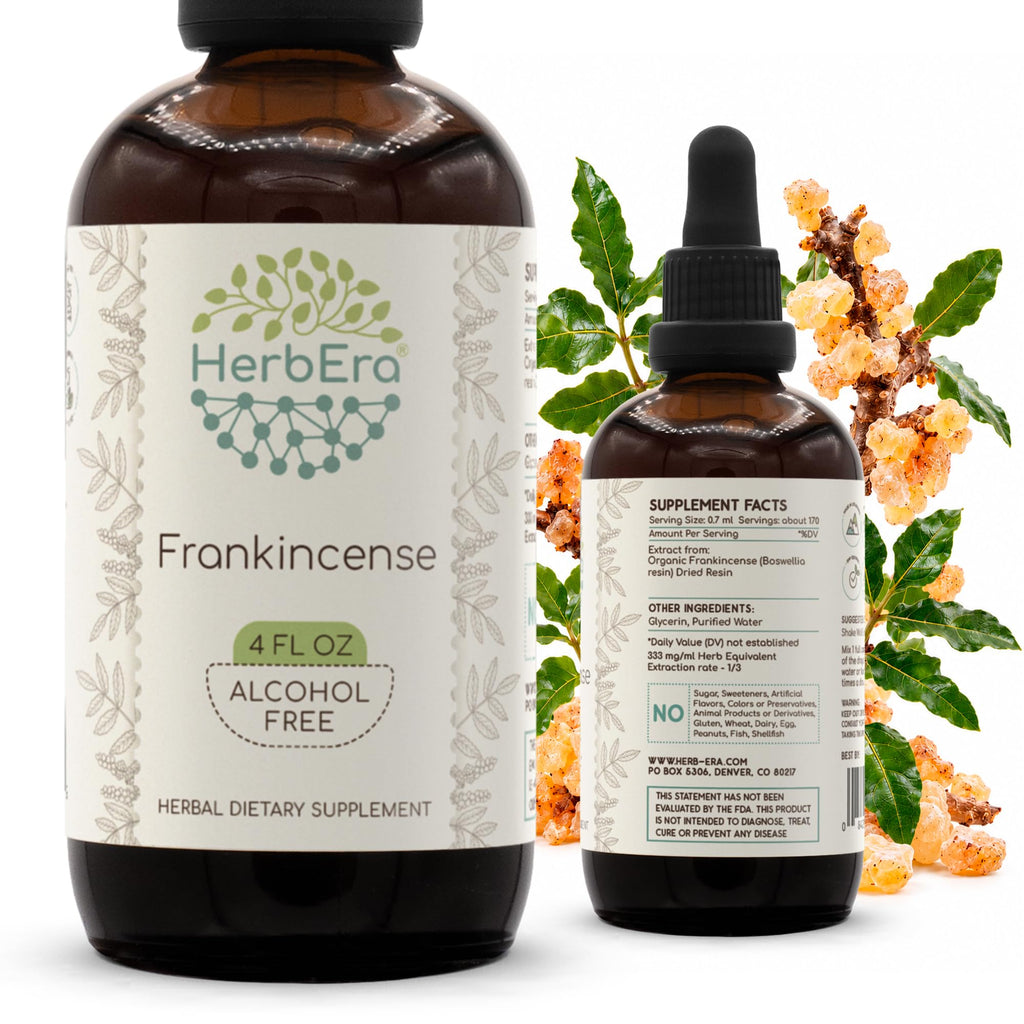 HerbEra Frankincense Alcohol-Free Herbal Extract Tincture