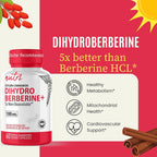 Nature's Fusions Dihydroberberine 100mg with Ceylon Cinnamon - 60 Capsules - image 5