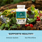 Ancient Nutrition Regenerative Organic Certified SuperFruits