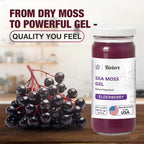 Biolore Elderberry Sea Moss Gel Wildcrafted - 16 Fl Oz - image 4