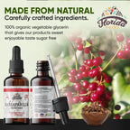 Florida Herbs Sarsaparilla Tincture Organic Extract - 2 oz - image 3