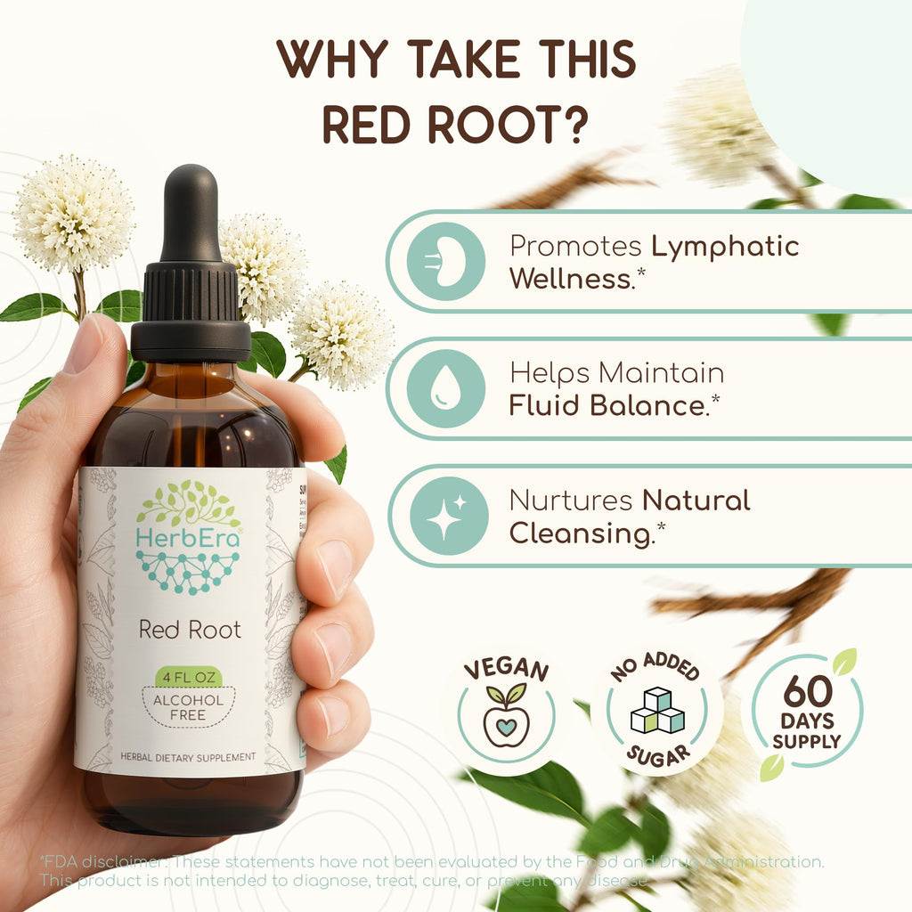 HerbEra Red Root Alcohol-Free Herbal Extract Tincture