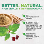 Nature's Nutrition Ashwagandha Gummies for Calm & Immune Support - 60 Gummies - image 7