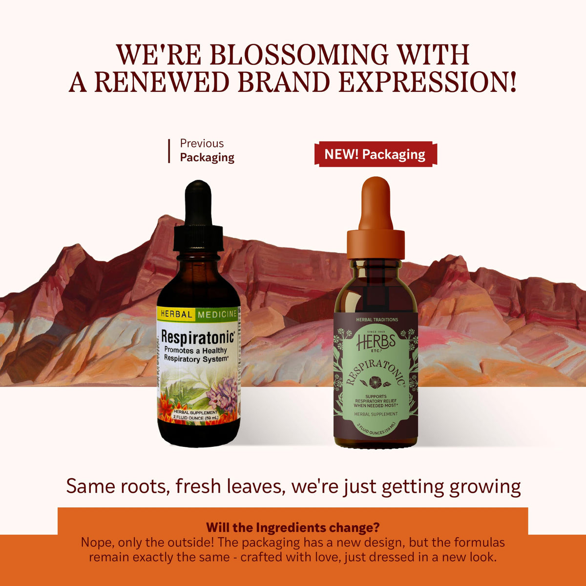 Herbs Etc. Respiratonic Liquid Extract for Lung Health - 2 fl oz - image 2