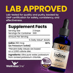 WellnessOne Iodine Drops Thyroid Support - 2.2 fl oz - image 2